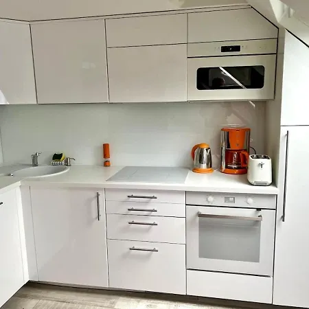 Appartement Rooftop Garden Triplex With Ac Over Notre - Dame *