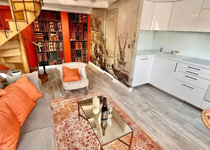Rooftop Garden Triplex With Ac Over Notre - Dame