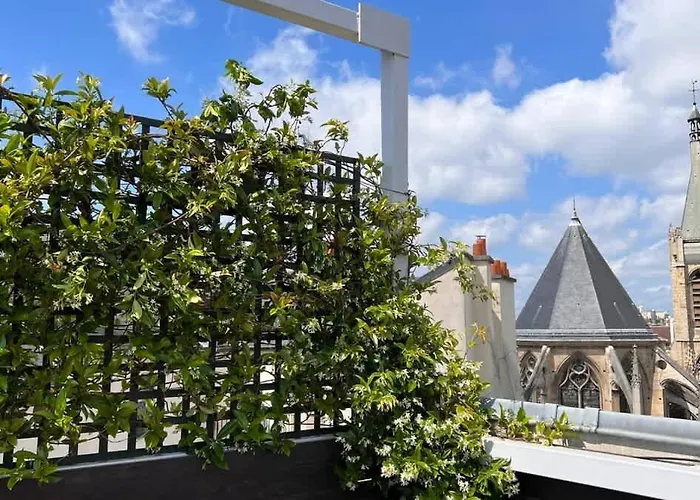 Rooftop Garden Triplex With Ac Over Notre - Dame