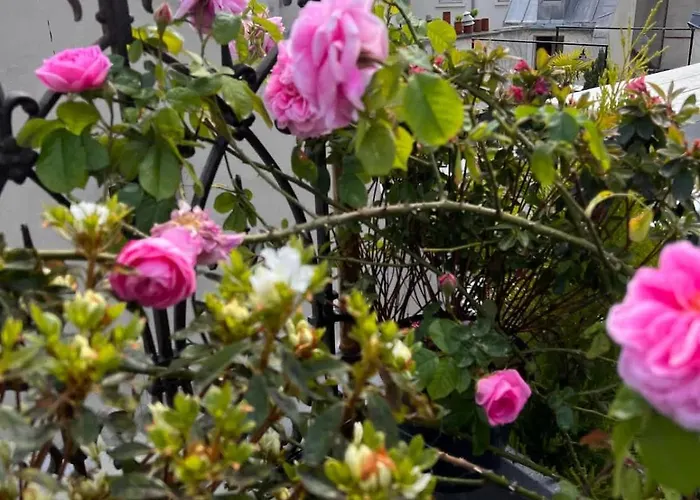 Rooftop Garden Triplex With Ac Over Notre - Dame Appartement *