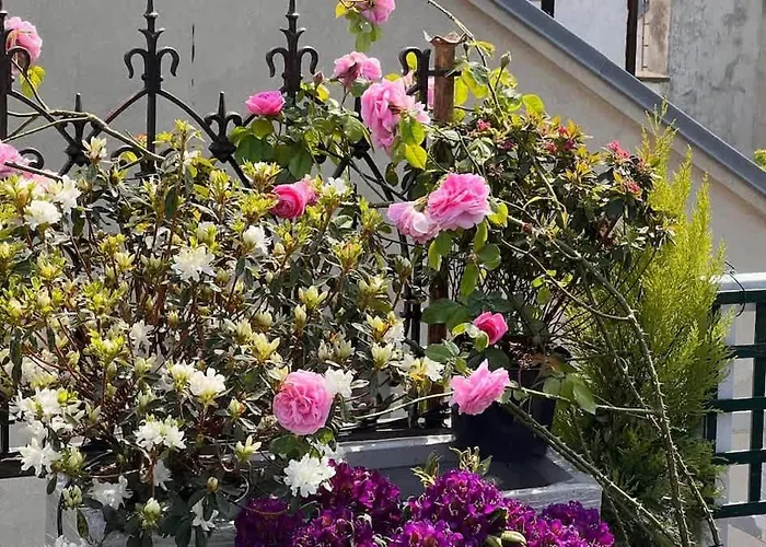 Rooftop Garden Triplex With Ac Over Notre - Dame Appartement *