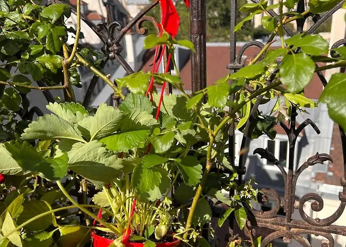 Rooftop Garden Triplex With Ac Over Notre - Dame Paris