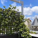 Rooftop Garden Triplex With Ac Over Notre - Dame