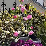 Rooftop Garden Triplex With Ac Over Notre - Dame 아파트 *