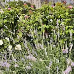 Rooftop Garden Triplex With Ac Over Notre - Dame 아파트 *