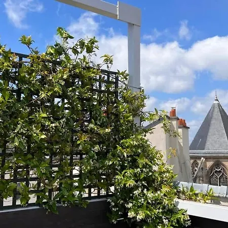 Rooftop Garden Triplex With Ac Over Notre - Dame