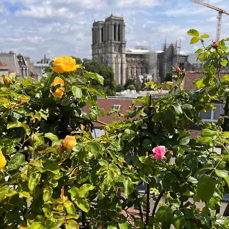Rooftop Garden Triplex With Ac Over Notre - Dame * 巴黎