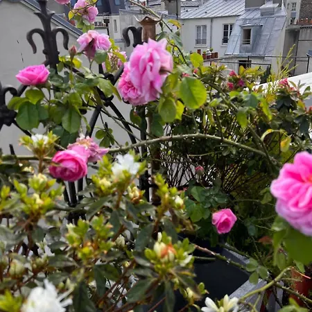 Rooftop Garden Triplex With Ac Over Notre - Dame Apartament *
