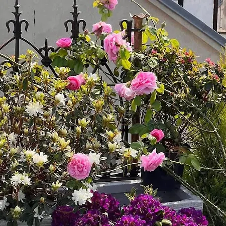 Rooftop Garden Triplex With Ac Over Notre - Dame Apartament *