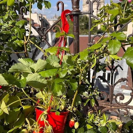 Rooftop Garden Triplex With Ac Over Notre - Dame Paryż