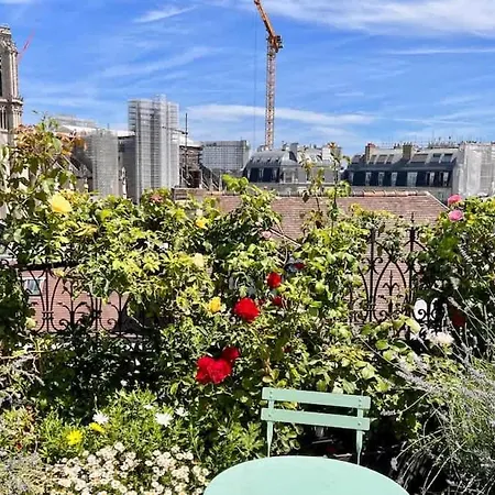 Apartament Rooftop Garden Triplex With Ac Over Notre - Dame *