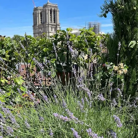 公寓 Rooftop Garden Triplex With Ac Over Notre - Dame 巴黎