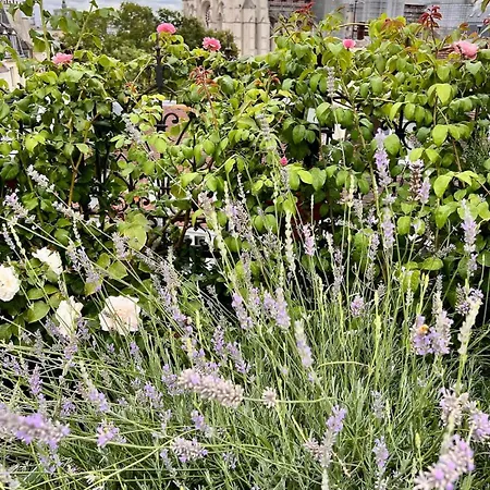 Rooftop Garden Triplex With Ac Over Notre - Dame Apartament *