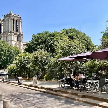 公寓 Rooftop Garden Triplex With Ac Over Notre - Dame *
