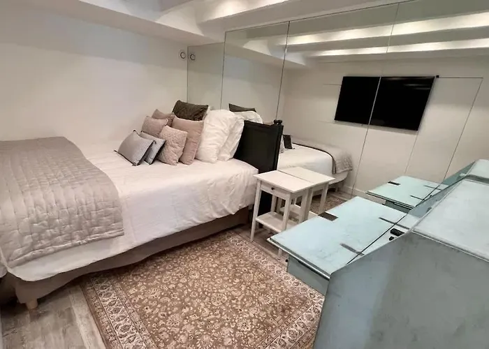 Rooftop Garden Triplex With Ac Over Notre - Dame 公寓 巴黎
