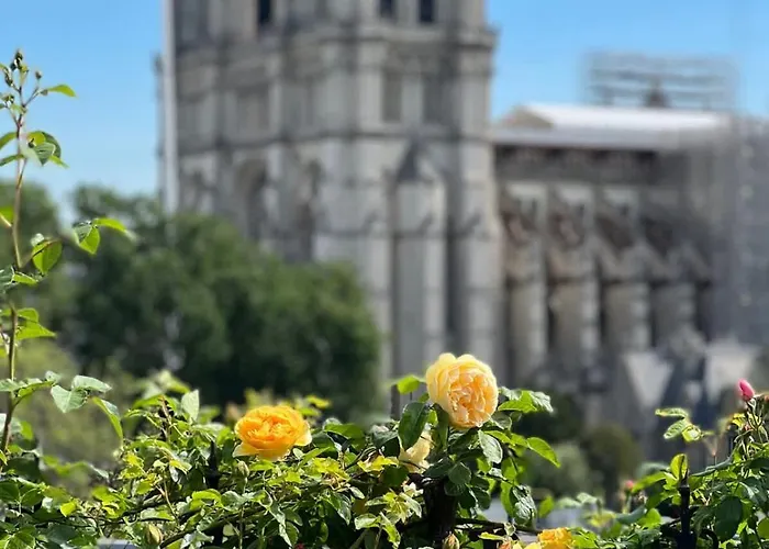公寓 Rooftop Garden Triplex With Ac Over Notre - Dame 巴黎