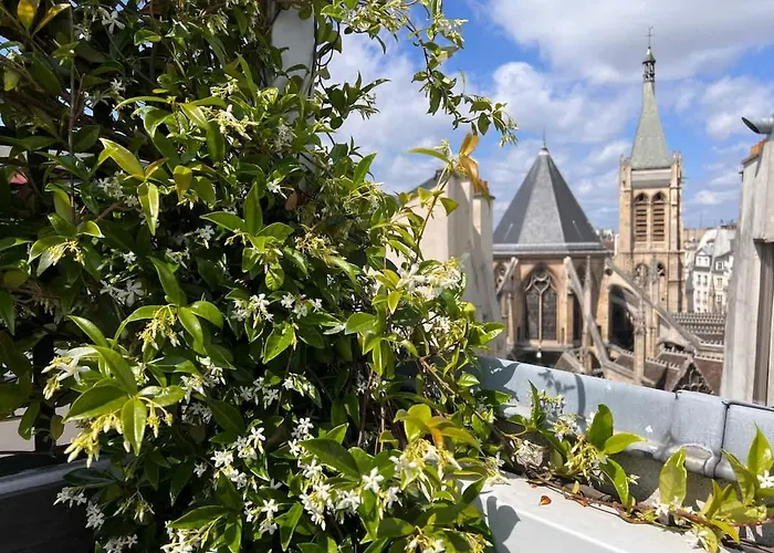 公寓 Rooftop Garden Triplex With Ac Over Notre - Dame 巴黎