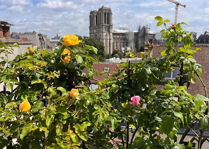 Rooftop Garden Triplex With Ac Over Notre - Dame * 巴黎