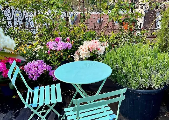Rooftop Garden Triplex With Ac Over Notre - Dame 公寓 巴黎