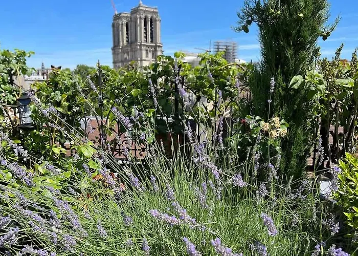公寓 Rooftop Garden Triplex With Ac Over Notre - Dame 巴黎